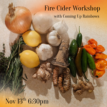 Load image into Gallery viewer, Fire Cider Workshop