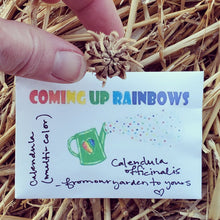 Load image into Gallery viewer, Calendula Seed Packet