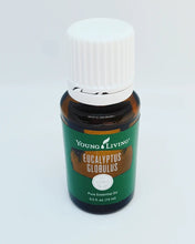 Load image into Gallery viewer, Eucalyptus Essential Oil