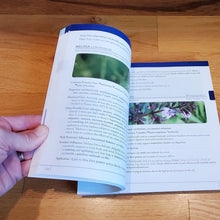 Load image into Gallery viewer, Reference Guide for Essential Oils