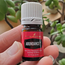 Load image into Gallery viewer, Abundance Essential Oil Blend
