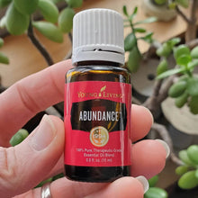 Load image into Gallery viewer, Abundance Essential Oil Blend
