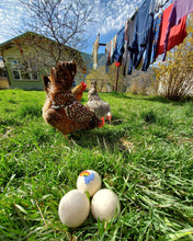 Load image into Gallery viewer, Dryer Balls Chickens Coming Up Rainbows
